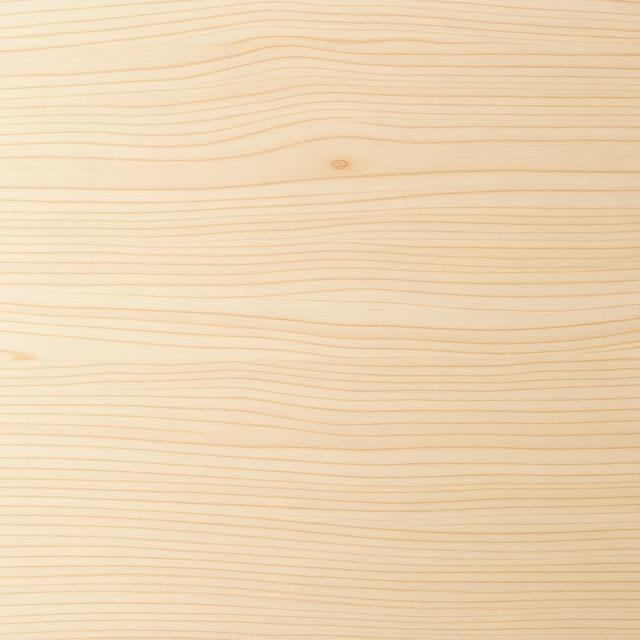 Textura dřeviny Jasan